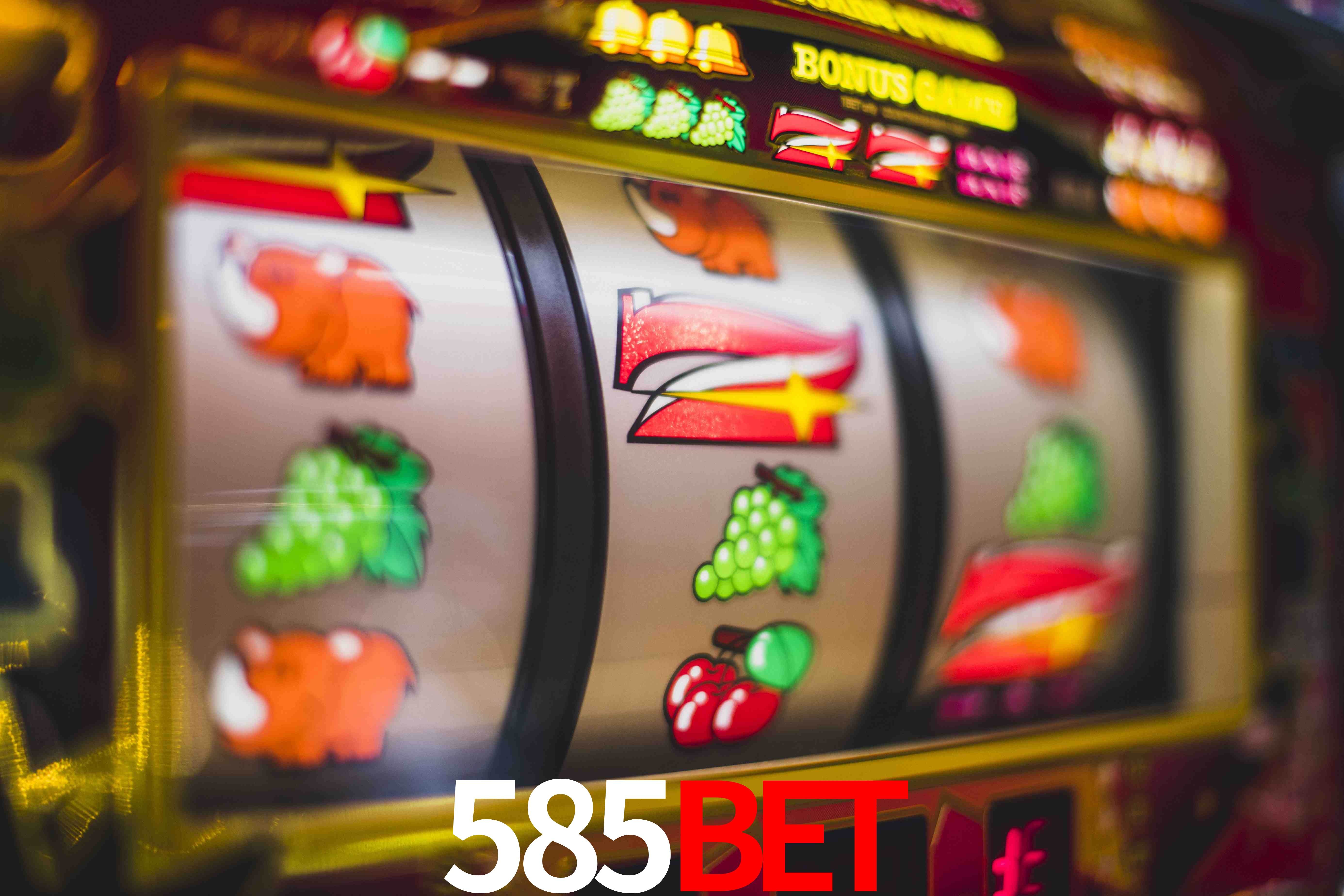 Basketball Betting 585bet